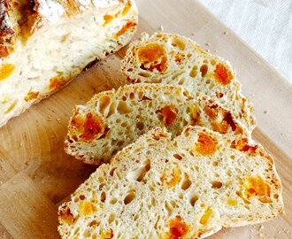 Crusty No-Knead Apricot Fennel Bread