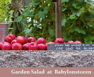 Garden Salad at Babylonstoren