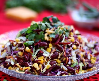 Mexican Winter Salad