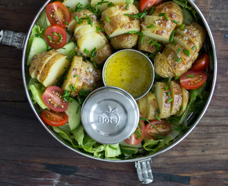 Die Mädchenküche kocht „zusammen“ #7: (Ofen-) Kartoffelsalat auf grünem Salatbett mit Honig-Senfdressing…