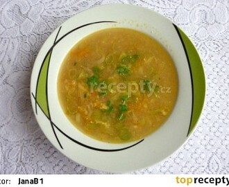 Vločková polévka s cibulkou a mrkví