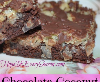 Chocolate Coconut Brownies for the Homemaking Party