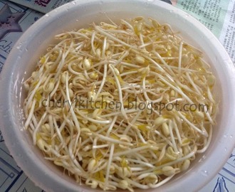 自发绿豆芽 Home Grown  Mung Bean Sprout
