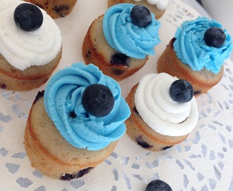 Best Ever Blueberry Mini Cakes