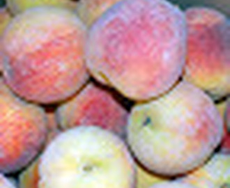 Homey Almond Peach Galette