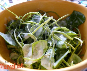 Salade grecque de pourpier d'hiver