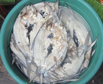 Daing Na Bangus – Milkfish Marinated in Vinegar