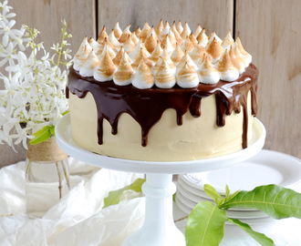 dianne wrote a new post, S'mores Chocolate cake with Caramel mascarpone frosting, on the site bibbyskitchenat36.com