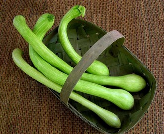 Zucchine trombetta: la particolare tipologia di zucchina dalla forma allungata