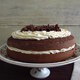 Chocolate cake with cream icing