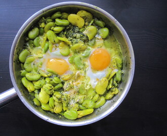 Baghali Ghatogh, œufs pochés dans un ragoût de fèves et d’aneth