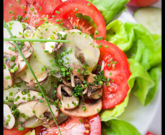 Lauwarmer Gurken-Champignons Salat