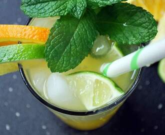 Low Calorie Summer Citrus Cocktail #TheRecipeRedux