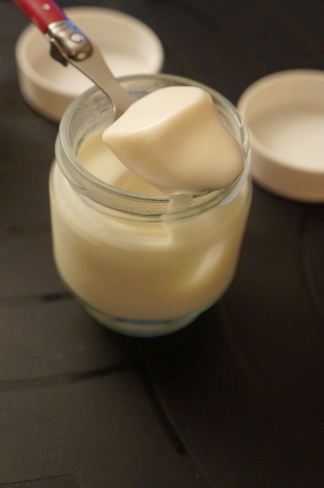 Yaourts maison à la vanille (avec ferments lactiques onctueux de chez Alsa)