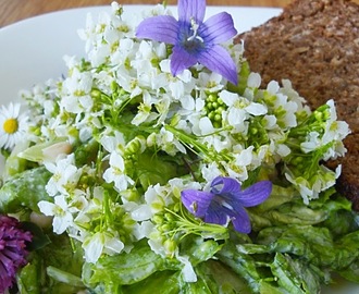 Fazolový salát s citrónovo-koprovo-hořčičnou zálivkou a křenovými květy