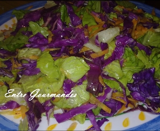 salade de chou rouge et carottes