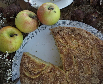 Ciasto z jabłkami i ciasteczkami amaretti / Z Jabłkami