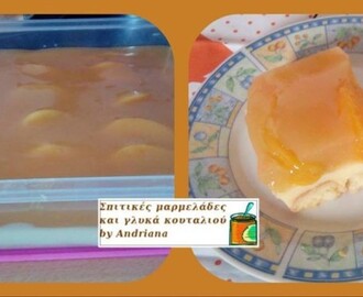 Δροσερό γλυκό με ροδάκινο, από την Ανδριάνα και το Σπιτικές μαρμελάδες και γλυκά κουταλιού by Andriana!