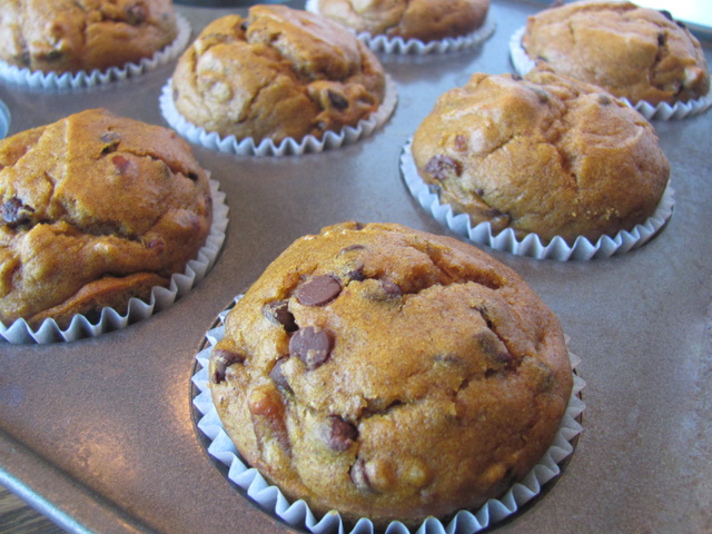 pumpkin chocolate chip muffin party!