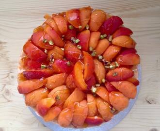 L'Abricôtier Oriental - Entremets Abricot Pistache (sans gluten)