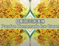 极简自制斑兰冰淇淋 Quick and Easy Pandan Homemade Ice Cream
