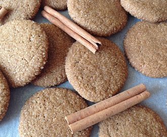 Skořicovo-zázvorové sušenky