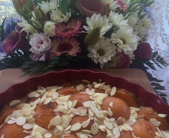 Meruňkový koláč v kulaté narozeninové míse