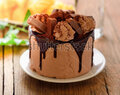 chocolate cake on wooden background
