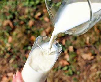 Mleka roślinne – hit dietetyczny