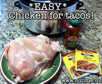 Easy and Simple Seasoned Chicken Taco Meat Recipe