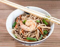 15 min Shrimp Chow Mein Recipe – Easy Chinese One-Pot Noodle How to [+Video]