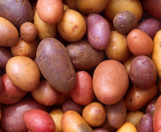 Die Kartoffel, ihre Nährstoffe und Verwendung