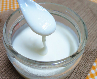 自制无糖优格 Homemade Plain Yoghurt (Without Sugar)
