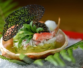 Recette de terrine d'avocat aux coquilles Saint-Jacques et sa salade de fruits de mer (Suède)