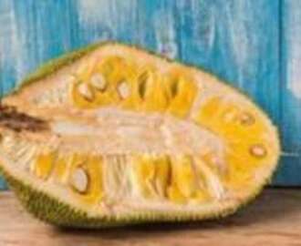 Jackfruit, The Tastiest Fruit You’ve Never Eaten!