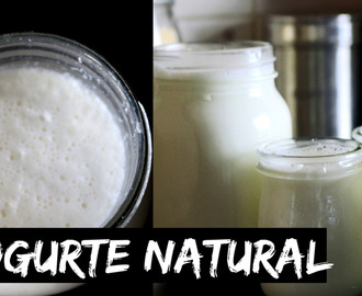 Iogurte Natural Caseiro #3 | YogurtNest – Iogurteira Ecológica