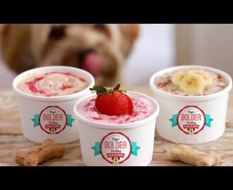 Ice Cream for Dogs w/ My Dog, Waffles! - Gemma&#39;s Bigger Bolder Barking