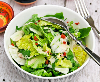 Kruidige salade met venkel en een ketjapdressing