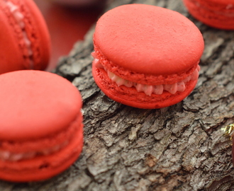 French Raspberry Macaron (Simple and Easy steps)