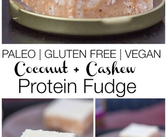 Paleo Cashew Coconut Protein Fudge