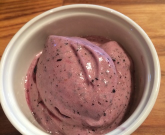 Banana and Blueberry “Ice Cream” not Ice Cream Frozen Dessert