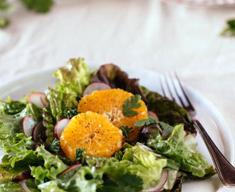 Ottolenghi’s Orange and Date Salad