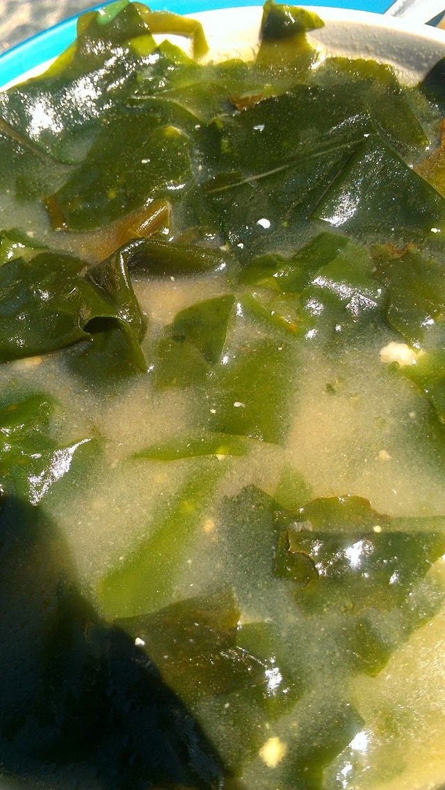 Seaweed & miso soup