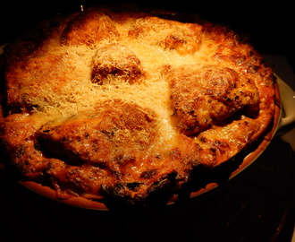 lasagne met kip roomsaus en parmezaanse kaas zonder pakjes en zakjes recept