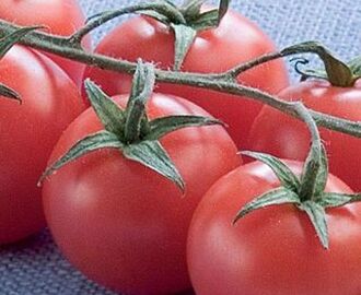 Marinerade soltorkade tomater