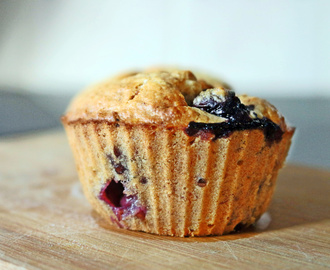 Muffin saudável de aveia e mirtilos | Sem glúten e sem lactose