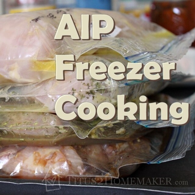 AIP-Friendly Freezer Cooking: Cooking Ahead for the Autoimmune Paleo Diet
