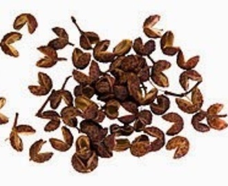 Herb and Spice of the Week - Sichuan Pepper