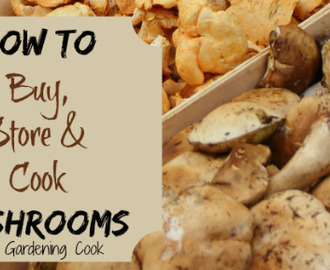 9 Tips for Cooking With Mushrooms