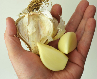 How to preserve garlic for the winter